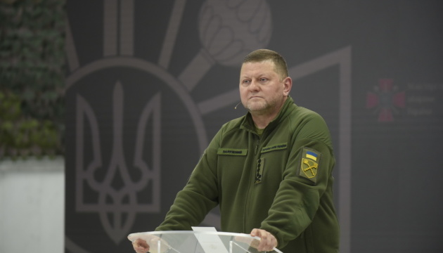 Дезінформація щодо Залужного