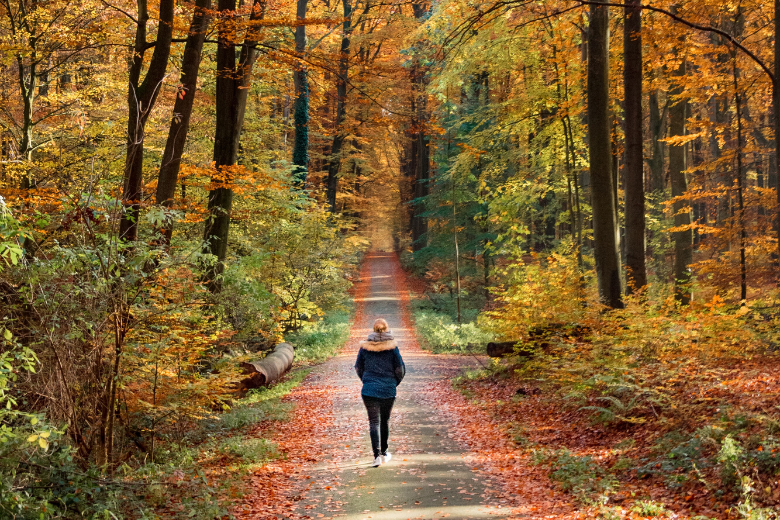 Ходьба задом на перед