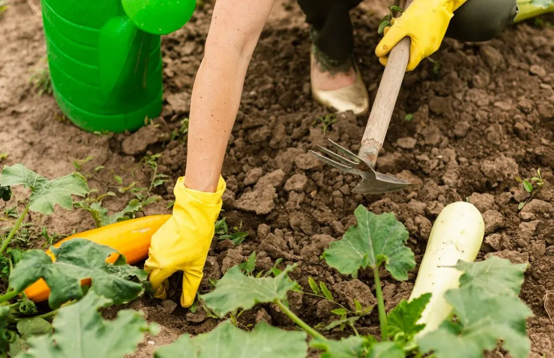 Позбуваємося ведмедки